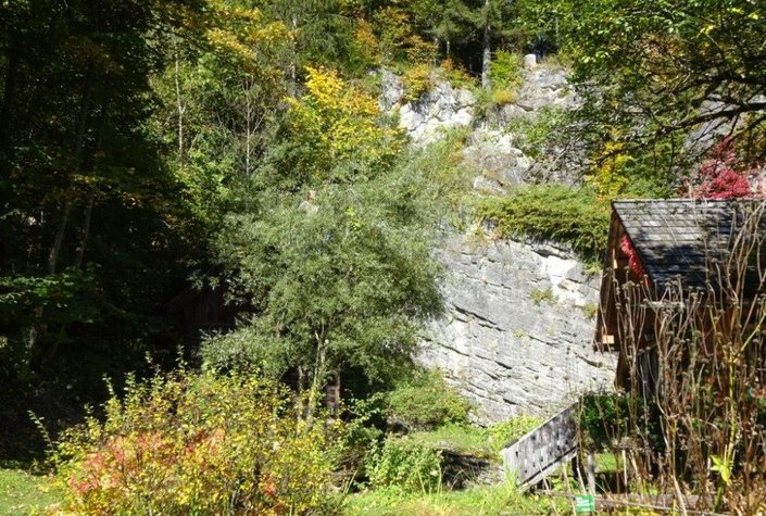 Naturerlebniszentrum Alpengarten Bad Aussee und Libellenweg