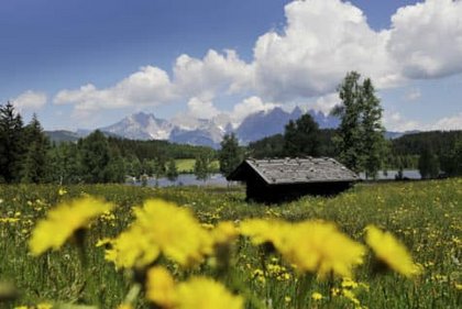 Urlaub in Tirol