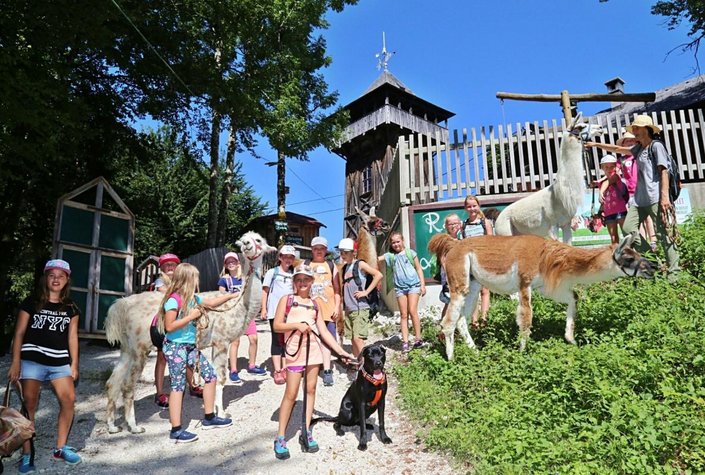Lamawandan im Salzkammergut