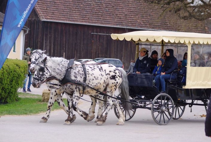 Ostermarkt Pferdezentrum Stadl-Paura