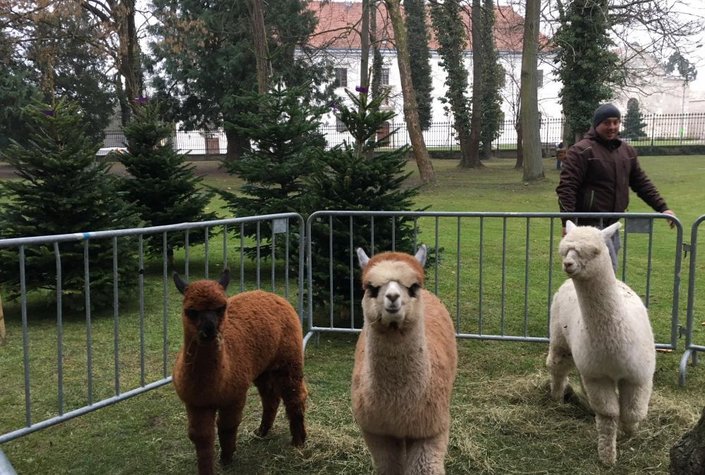 Adventzauber im Schloss Margarethen am Moos