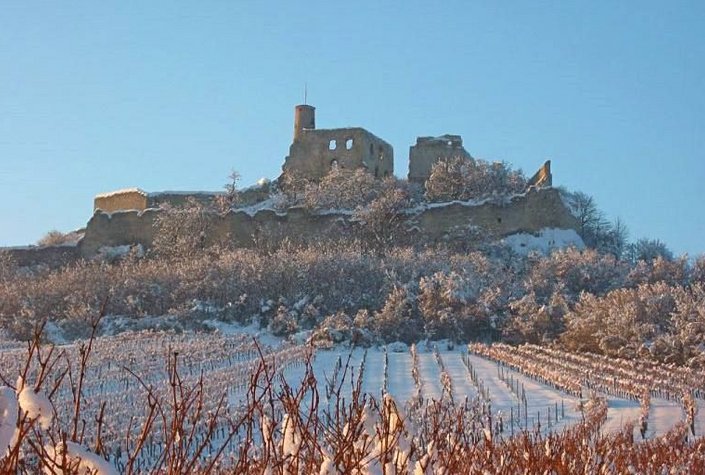 Burgruine Falkenstein