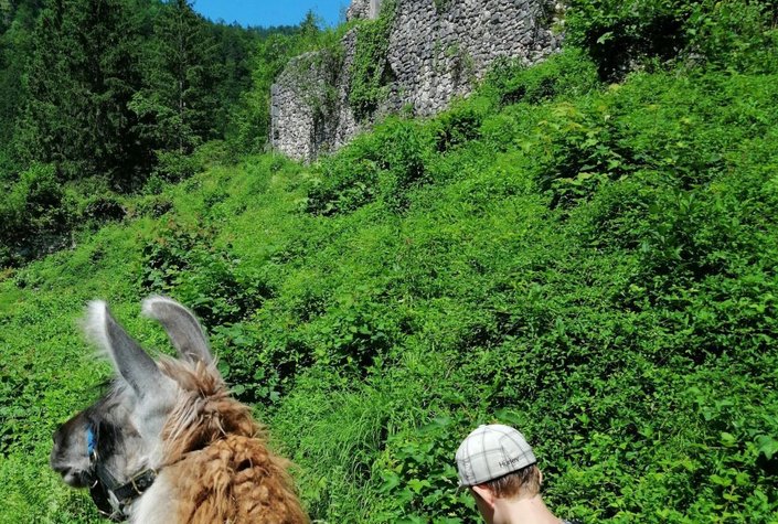 Lamawandan im Salzkammergut