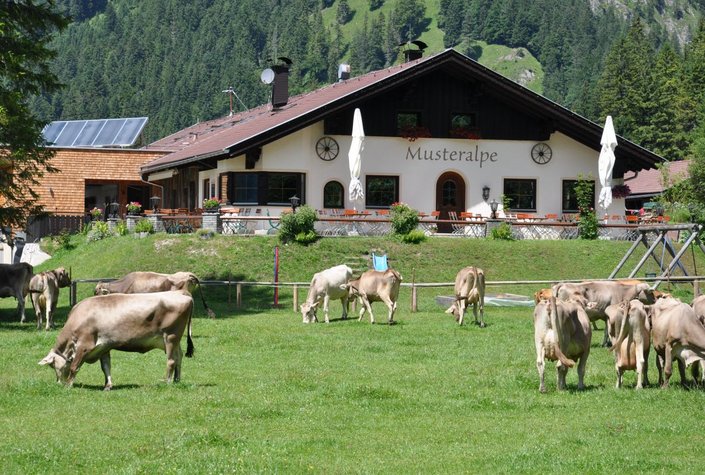 Camping Plansee Tirol