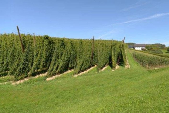 Bierbuschenschank Eder Bräu