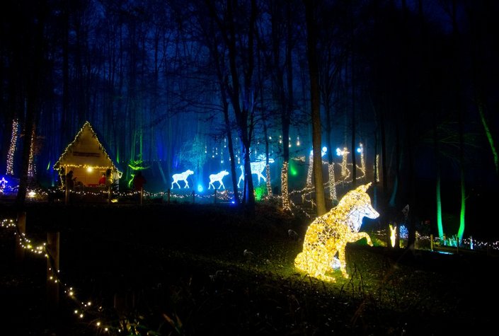 Advent- & Lichterzauber - Domäne Lilienberg