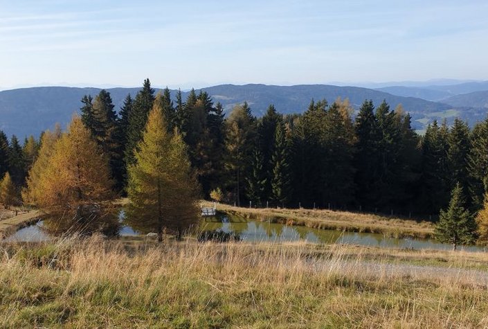 Godi´s Hütte & Moni´s Hütte