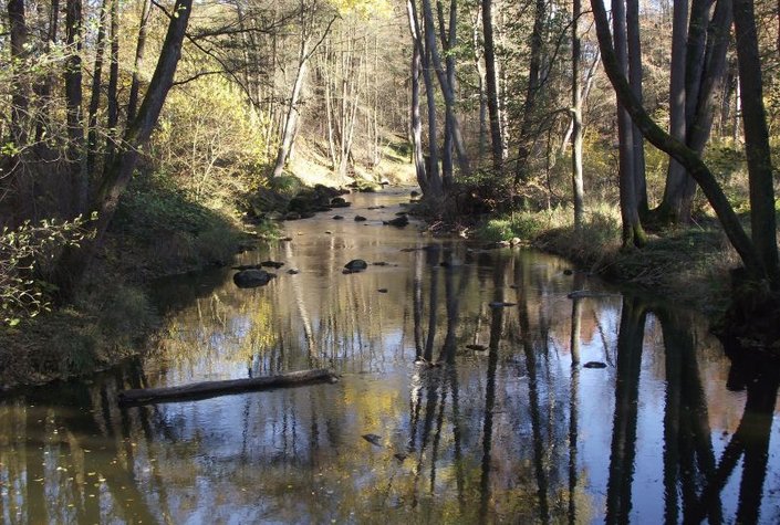 Naturpark Blockheide