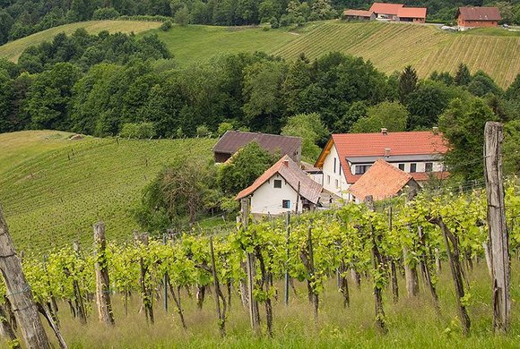 Weingut Resch Ludwig