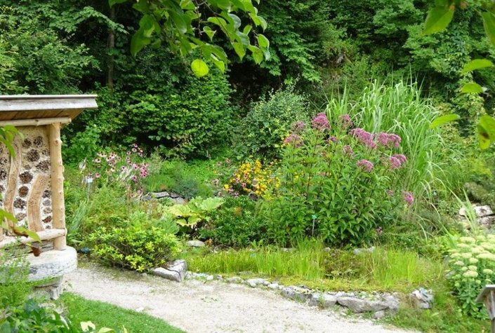Naturerlebniszentrum Alpengarten Bad Aussee und Libellenweg