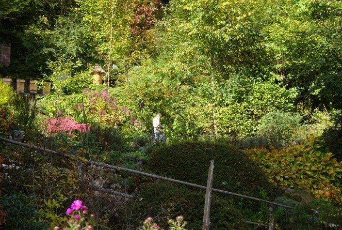 Naturerlebniszentrum Alpengarten Bad Aussee und Libellenweg