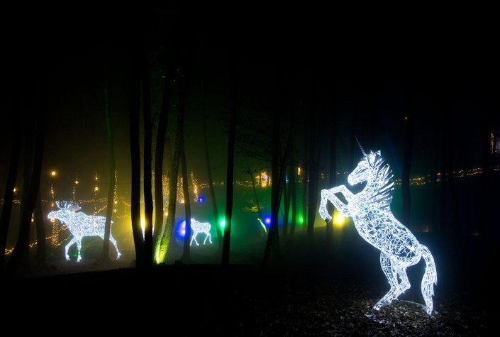 Advent- & Lichterzauber - Domäne Lilienberg