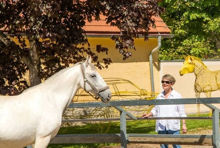 Lipizzanergestüt Piber